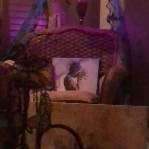 Meet your Posher, Charla